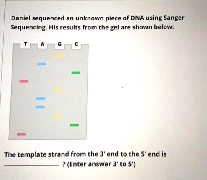 Solved Daniel sequenced an unknown piece of DNA using Sanger | Chegg.com