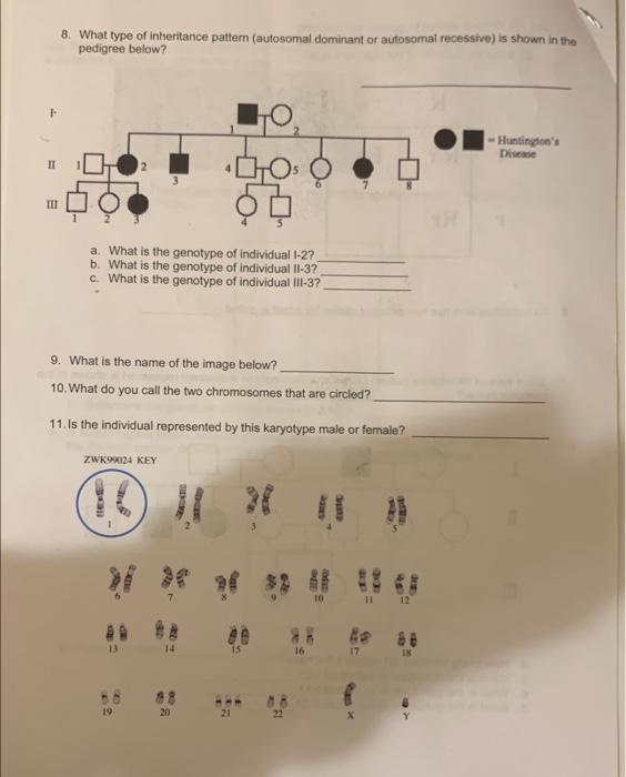 8. What type of inheritance pattern (autosomal dominant or autosomal recessive) is shown in the pedigree below?
a. What is th