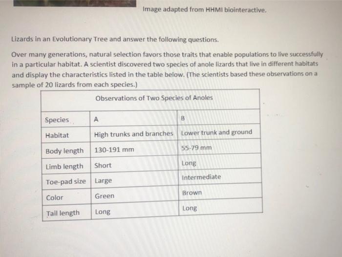 Solved Using the above information answer questions 1 and 2. | Chegg.com