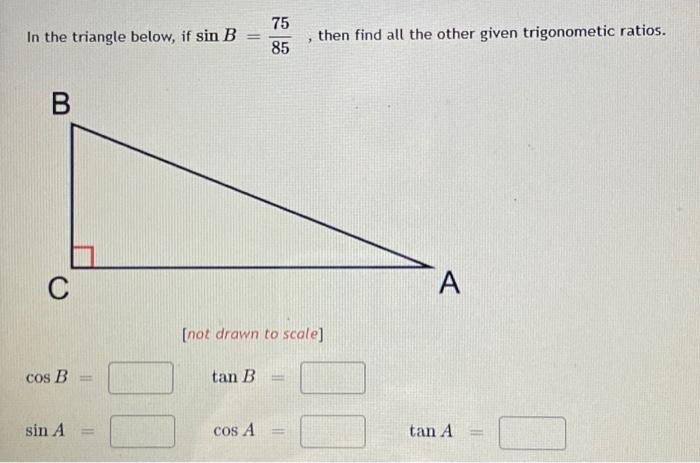 Solved In the triangle below, if sin B 75 85 then find all | Chegg.com