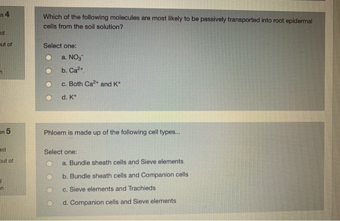 Solved n4 Which of the following molecules are most likely | Chegg.com