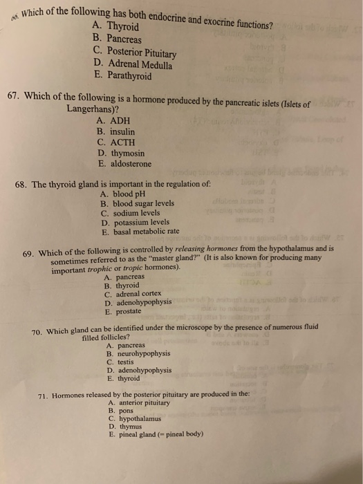 Solved Ao Which Which Of The Following Has Both Endocrine