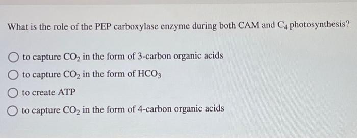 Solved What is the role of the PEP carboxylase enzyme during | Chegg.com