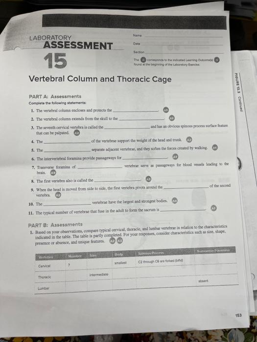 Solved PART B: Assessments Match The Bones In Column A With | Chegg.com