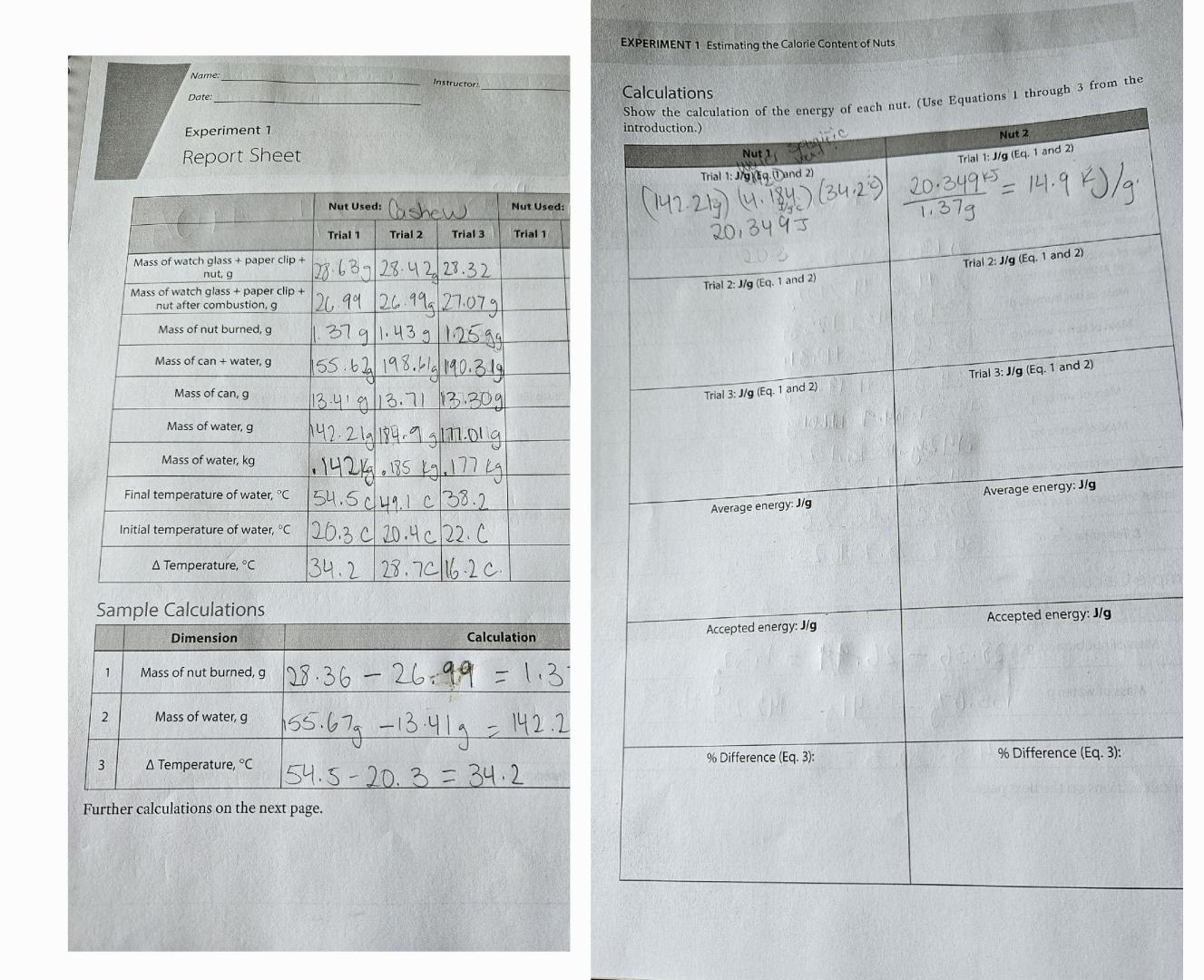 experiment 1 tracking your nutrition