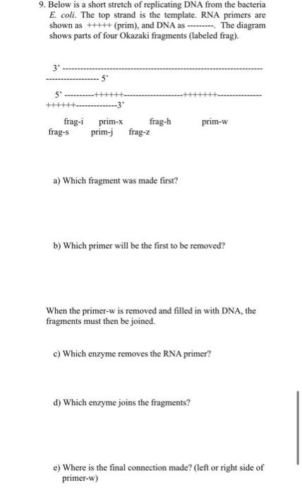 Solved 9. Below is a short stretch of replicating DNA from | Chegg.com
