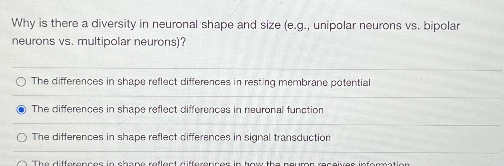 Solved Why is there a diversity in neuronal shape and size | Chegg.com