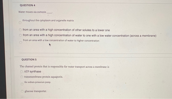 Solved QUESTION 4 Water moves via osmosis throughout the | Chegg.com