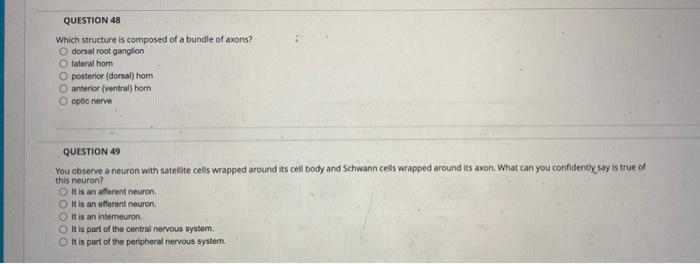 Solved QUESTION 48 Which structure is composed of a bundle | Chegg.com