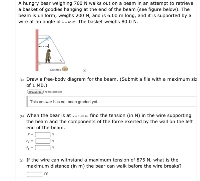 Solved A hungry bear weighing 700 N walks out on a beam in | Chegg.com