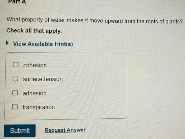 Solved Part A What Property Of Water Makes It Move Upward Chegg