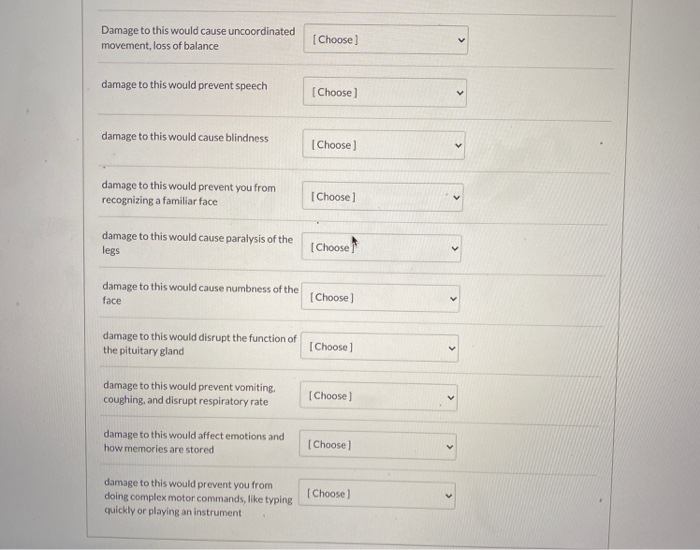 Solved Damage to this would cause uncoordinated movement, | Chegg.com