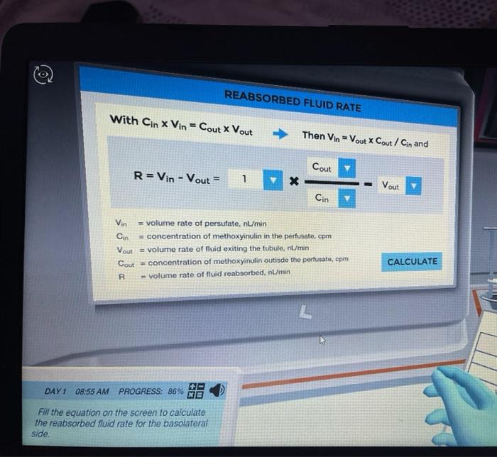 Solved REABSORBED FLUID RATE With Cin X Vin = Cout * Vout