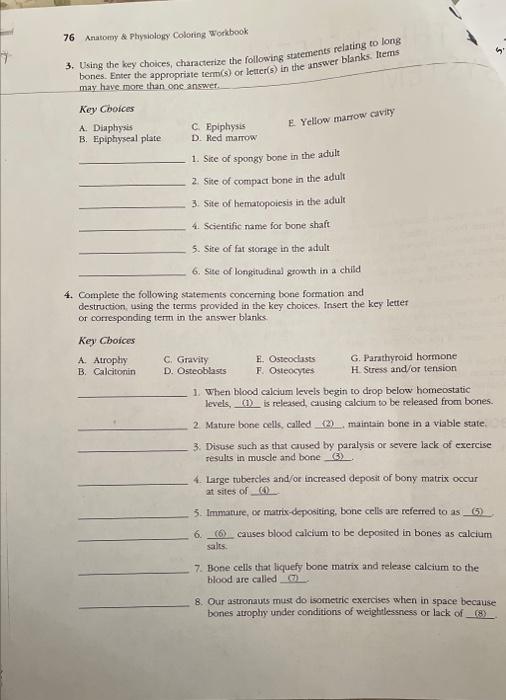 Solved 76 Anatory st Ptiysiologg Coloting Workoton 3. Using | Chegg.com