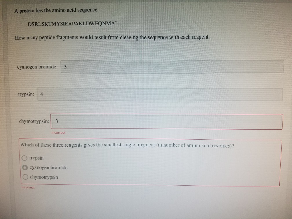 Pls help. In the chymotrypsin I have alreasy answered