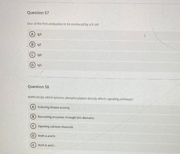 Solved Question 57 One of the first antibodies to be | Chegg.com