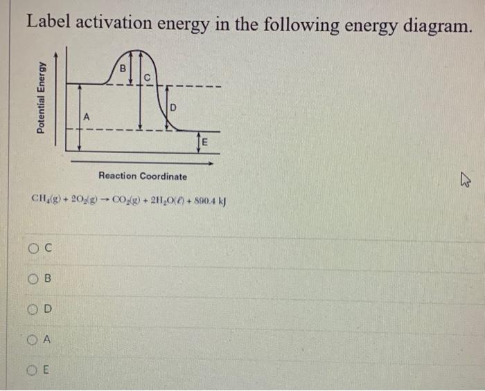 Solved Label Activation Energy In The Following Energy