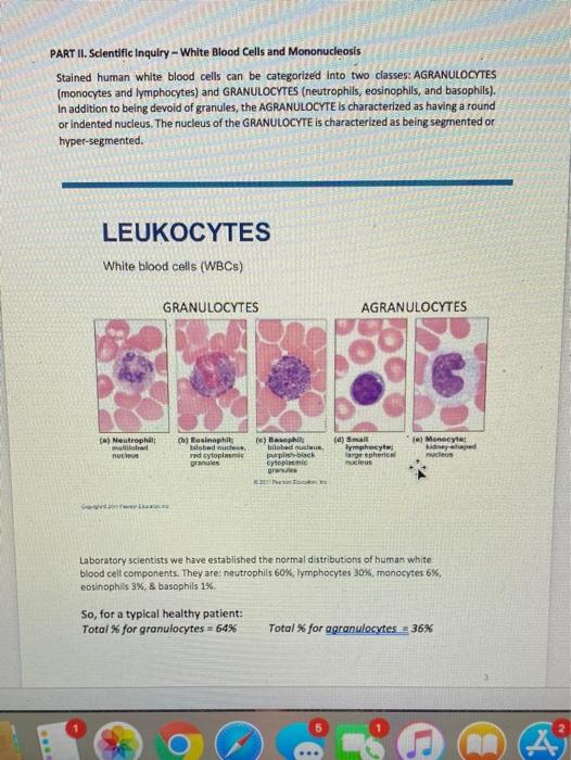 Solved Part Ii Scientific Inquiry White Blood Cells And Chegg Com