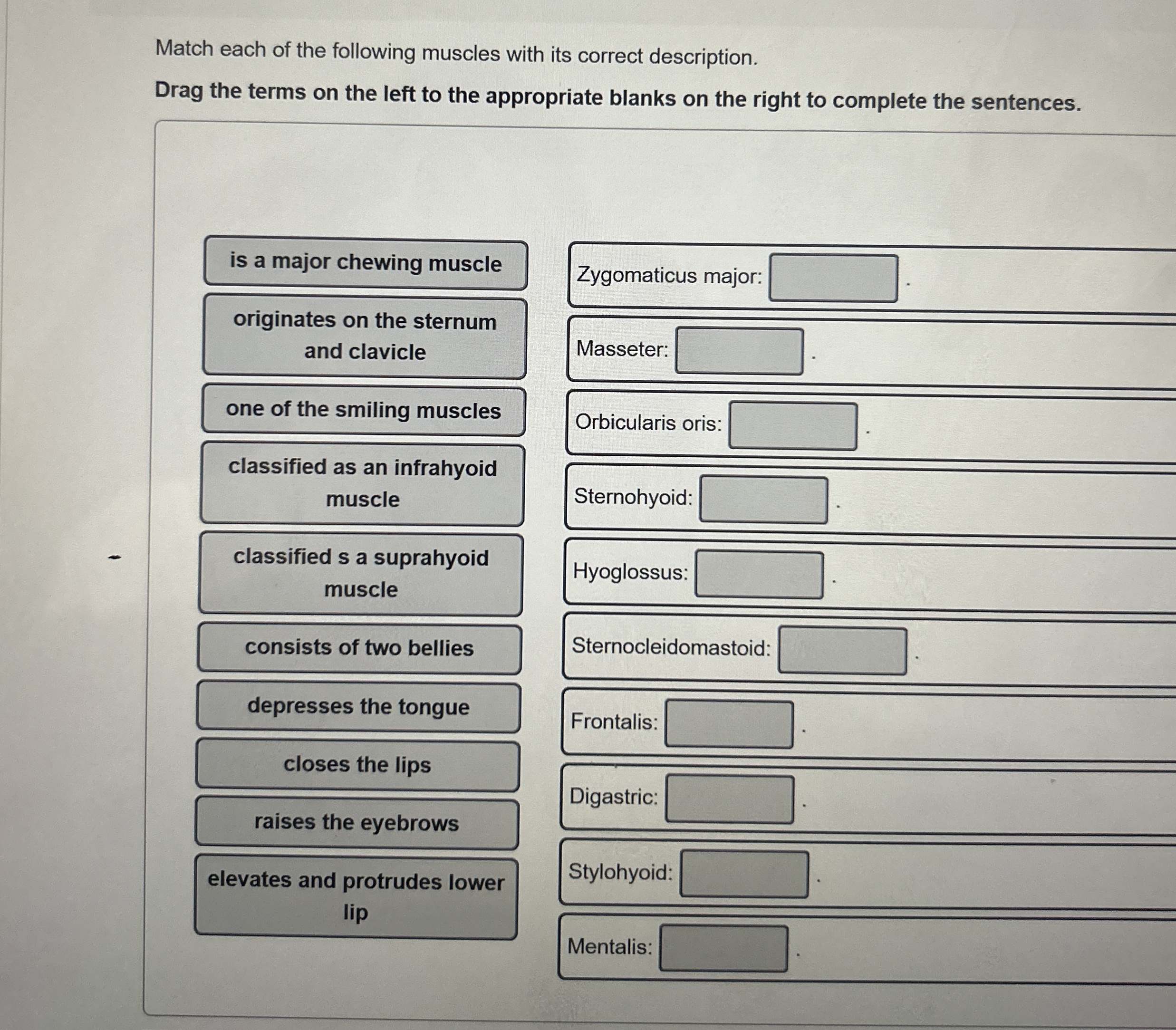 Solved Match each of the following muscles with its correct | Chegg.com