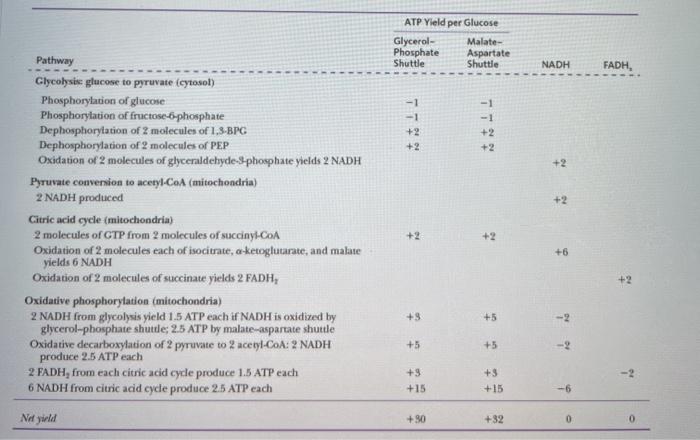 Solved ATP Yield per Glucose Glycerol- Malate- Phosphate | Chegg.com