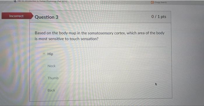 Based on the body map in the somatosensory cortex, which area of the body is most sensitive to touch sensation?
Hip
Neck
Thum