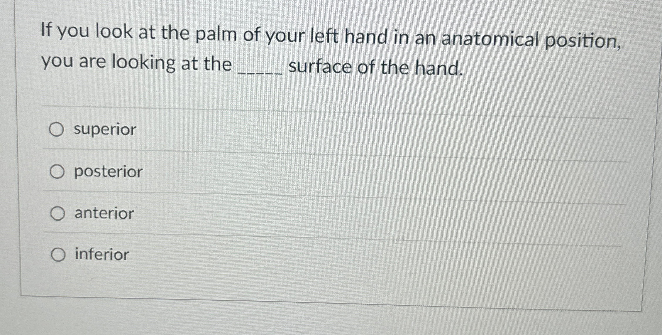 Solved If you look at the palm of your left hand in an | Chegg.com