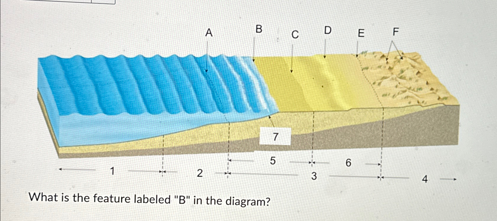 Solved What is the feature labeled 