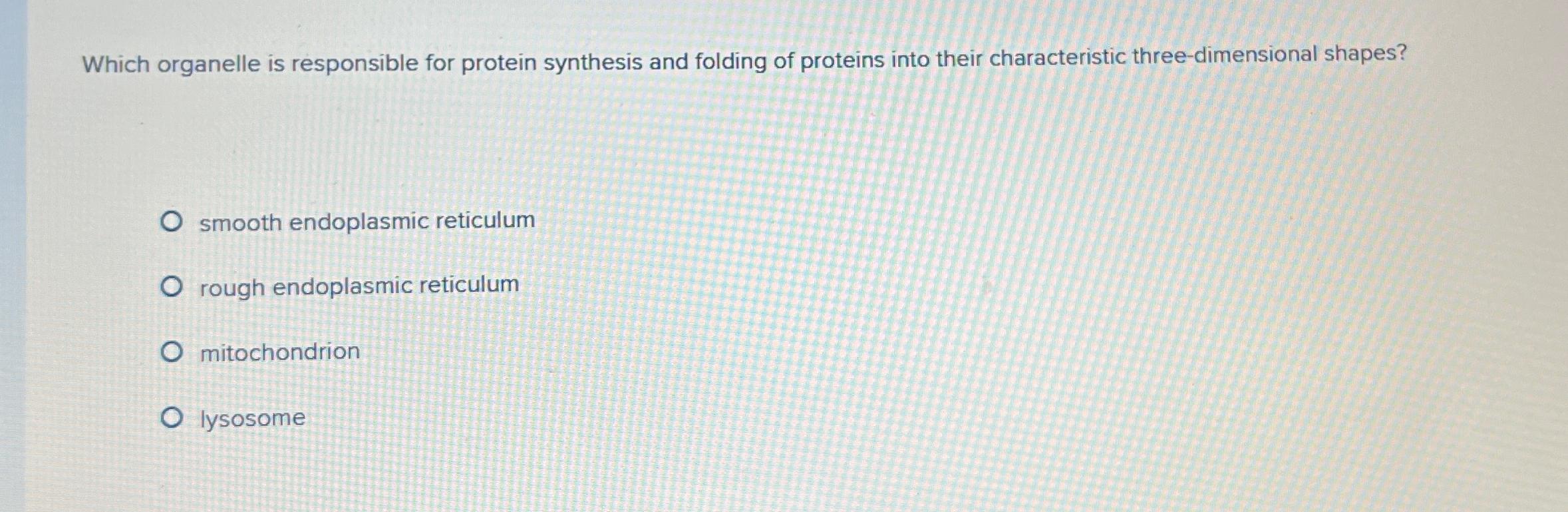 Solved Which organelle is responsible for protein synthesis | Chegg.com