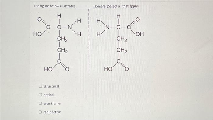 Solved The Figure Below Illustrates Isomers. (Select All | Chegg.com