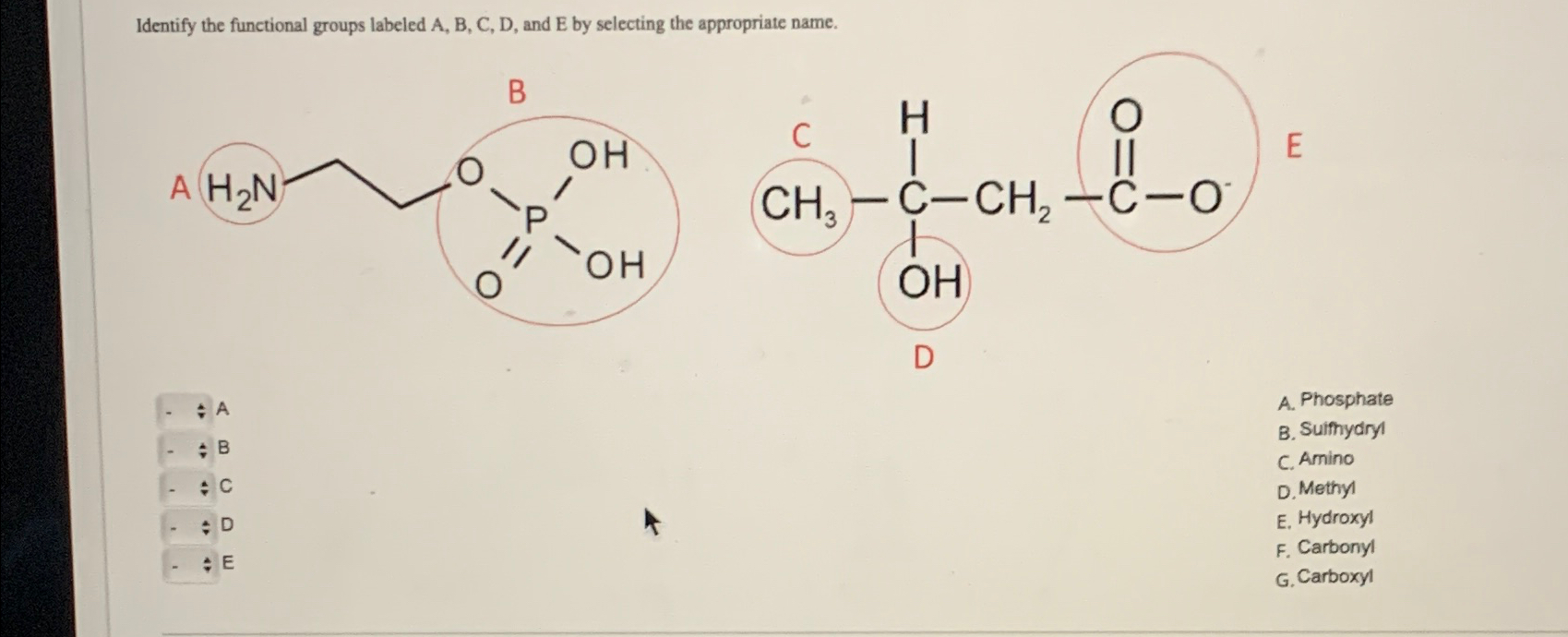 Solved Identify the functional groups labeled A, ﻿B, ﻿C, ﻿D, | Chegg.com