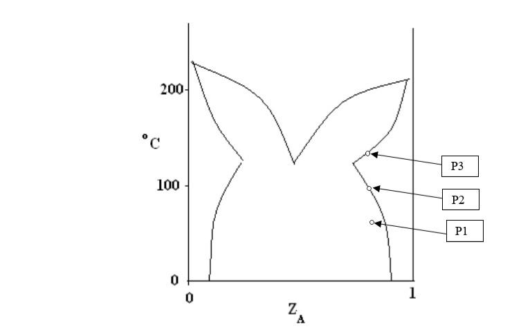 Solved 200 °C P3 100 P2 P1 0 0 1 Z А d. Point P1 1. | Chegg.com