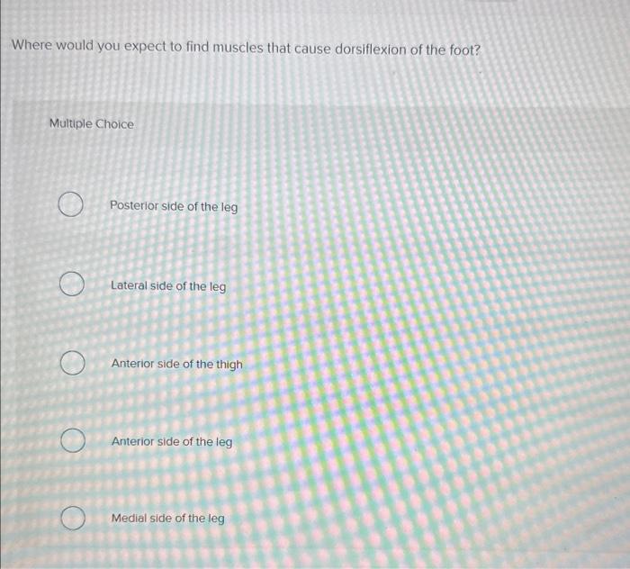Where Would You Expect To Find Muscles That Cause Dorsiflexion Of The Foot