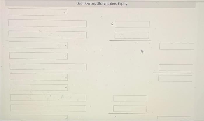 Llabilities and Shareholders Equity
\( \$ \)