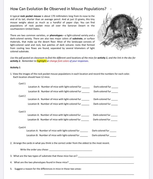 solved-how-can-evolution-be-observed-in-mouse-populations-a-chegg