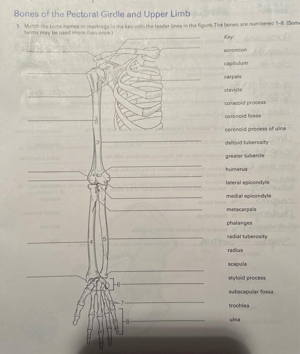 student submitted image, transcription available below