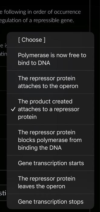Solved Place the following in order of occurrence during | Chegg.com
