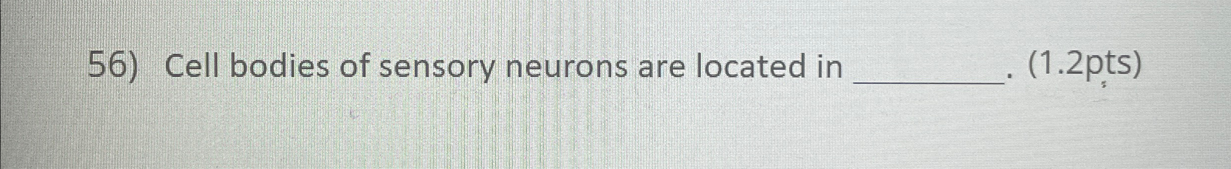 Solved Cell bodies of sensory neurons are located in | Chegg.com