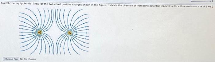 Solved Sketch The Equipotential Lines For The Two Equal | Chegg.com