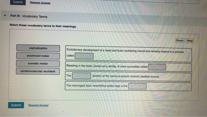 Solved: Part A- Prefixes, Roots, And Suffixes Match These | Chegg.com