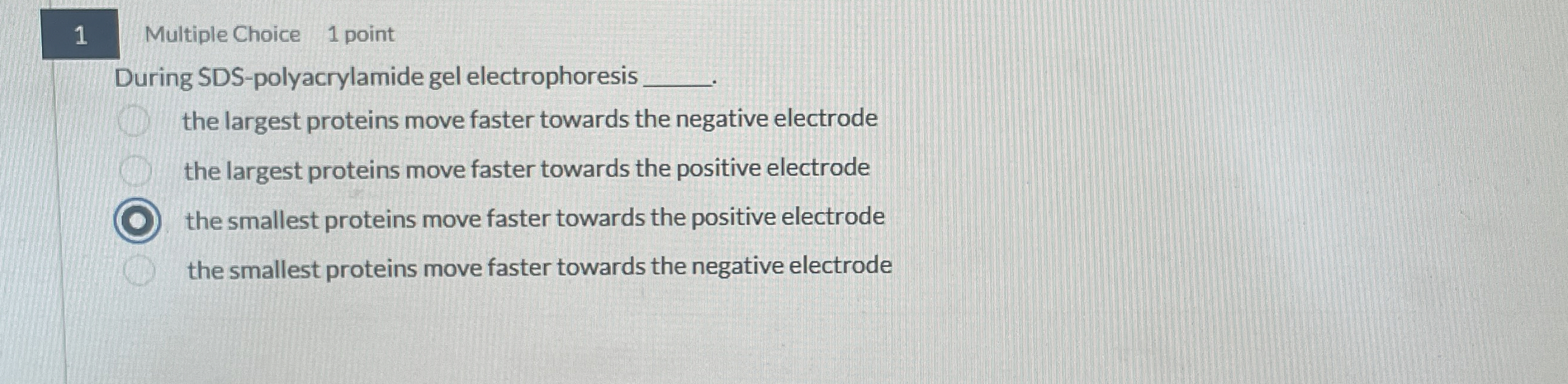 Solved 1Multiple Choice1 ﻿pointDuring SDS-polyacrylamide Gel | Chegg.com