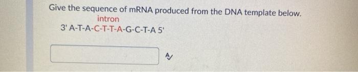 Solved Give the sequence of mRNA produced from the DNA | Chegg.com