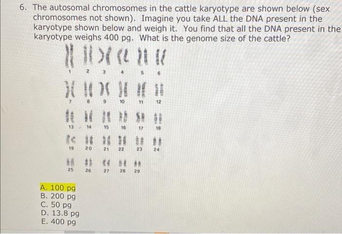 Solved 6. The autosomal chromosomes in the cattle karyotype | Chegg.com