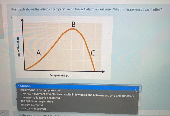 denatured enzyme diagram