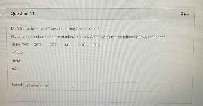Solved Question 11 2 pts DNA Transcription and Translation | Chegg.com