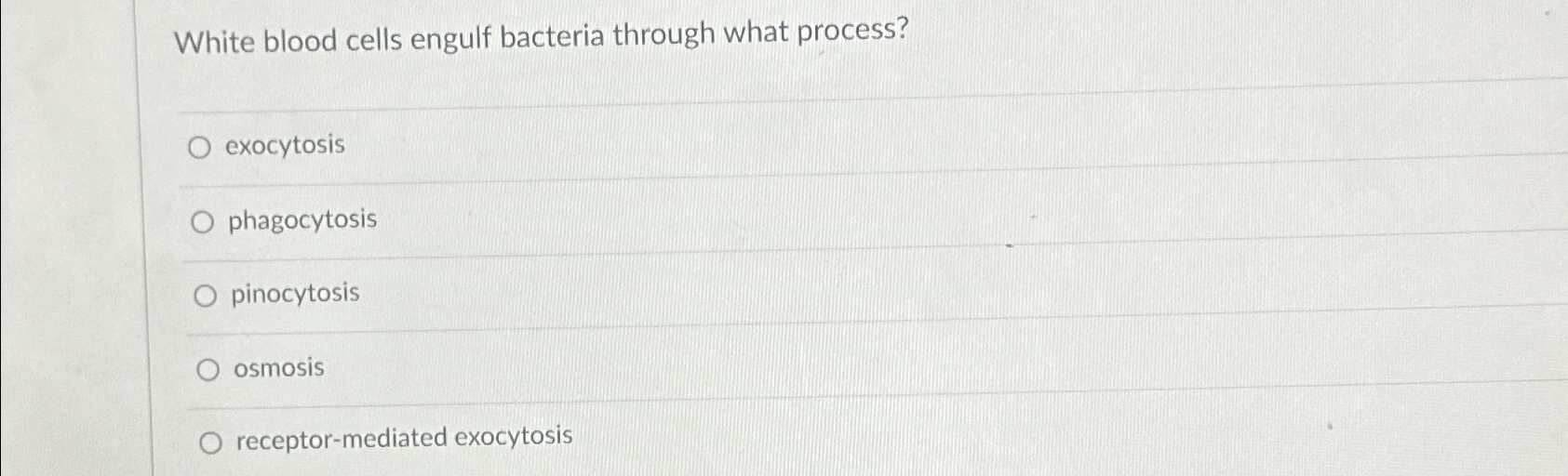 Solved White blood cells engulf bacteria through what | Chegg.com