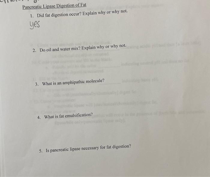 Solved Pancreatic Lipase Digestion of Fat 1. Obtain 4 test | Chegg.com