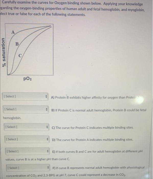 Solved Carefully examine the curves for Oxygen binding shown | Chegg.com