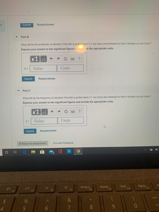 Solved General Physics I summer 2020 | Chegg.com