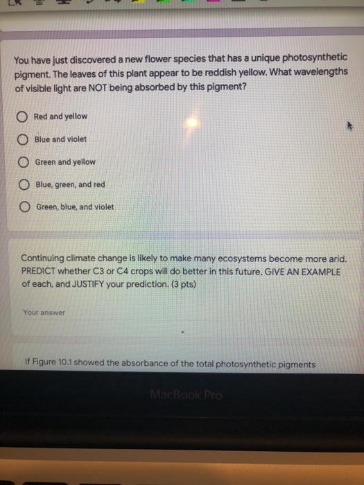 Solved LR You have just discovered a new flower species that