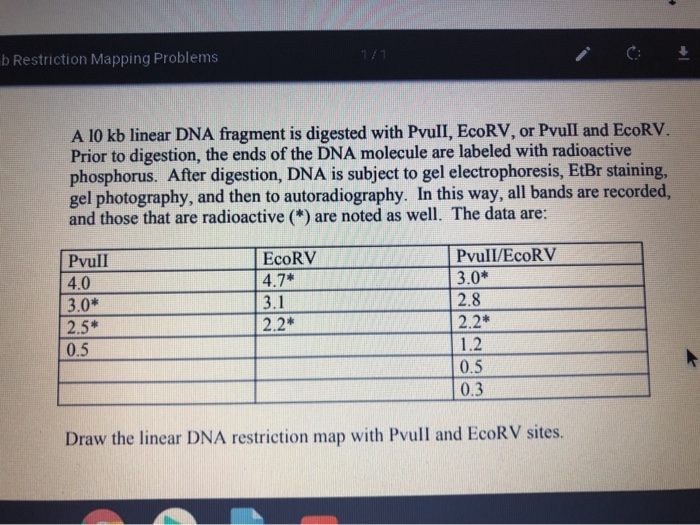 Solved b Restriction Mapping Problems A 10 kb linear DNA | Chegg.com